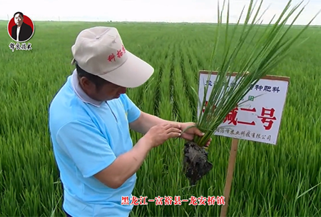 富?？h-龍安橋鎮