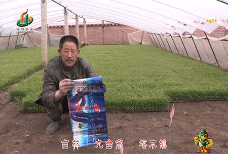 吉林其塔木鎮1